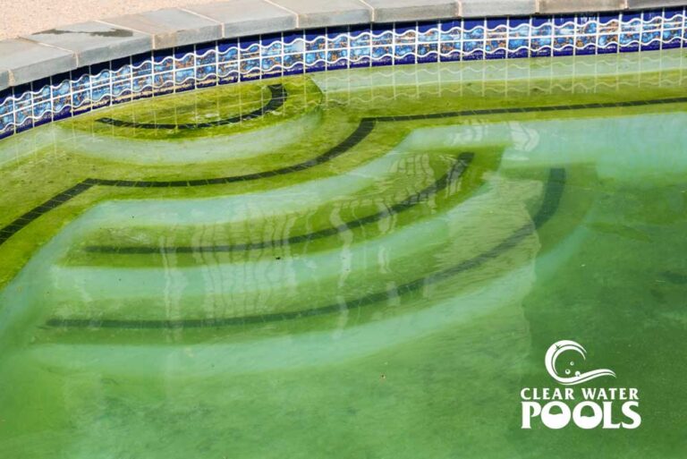 Swimming pool with green-tinted water and visible algae on steps, featuring a decorative tile border and logo reading "Clear Water Pools" in the lower right corner.