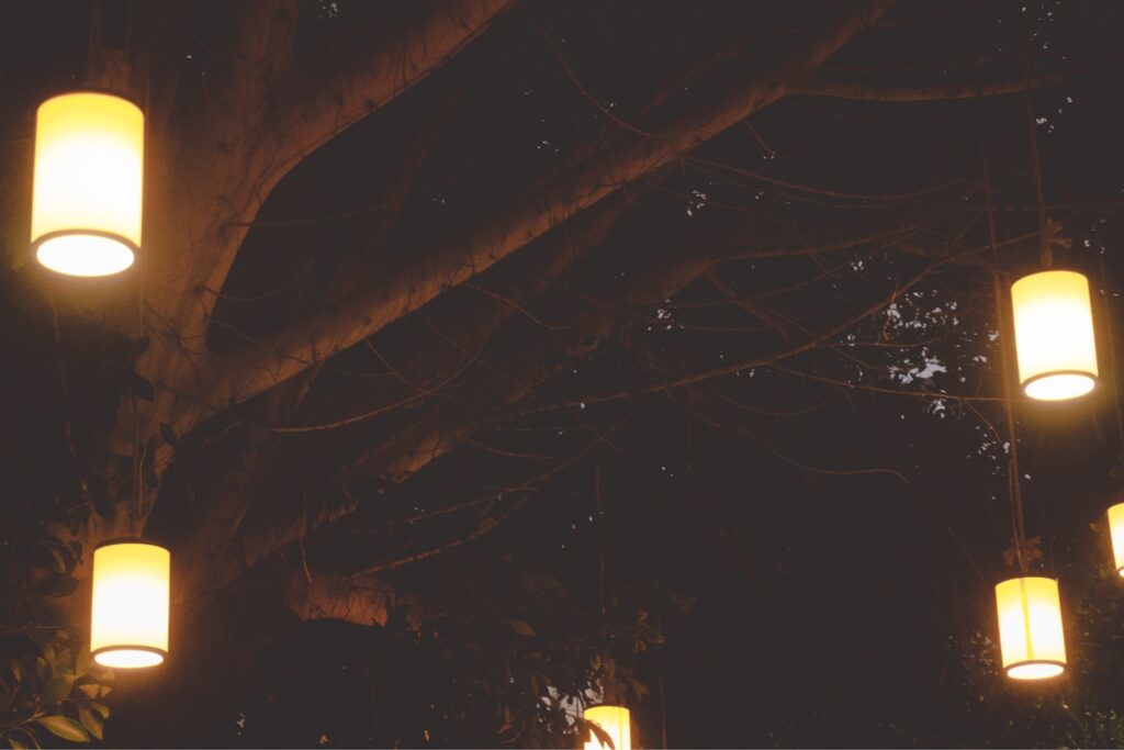 A group of lanterns hanging from a tree, providing pool lighting ideas.