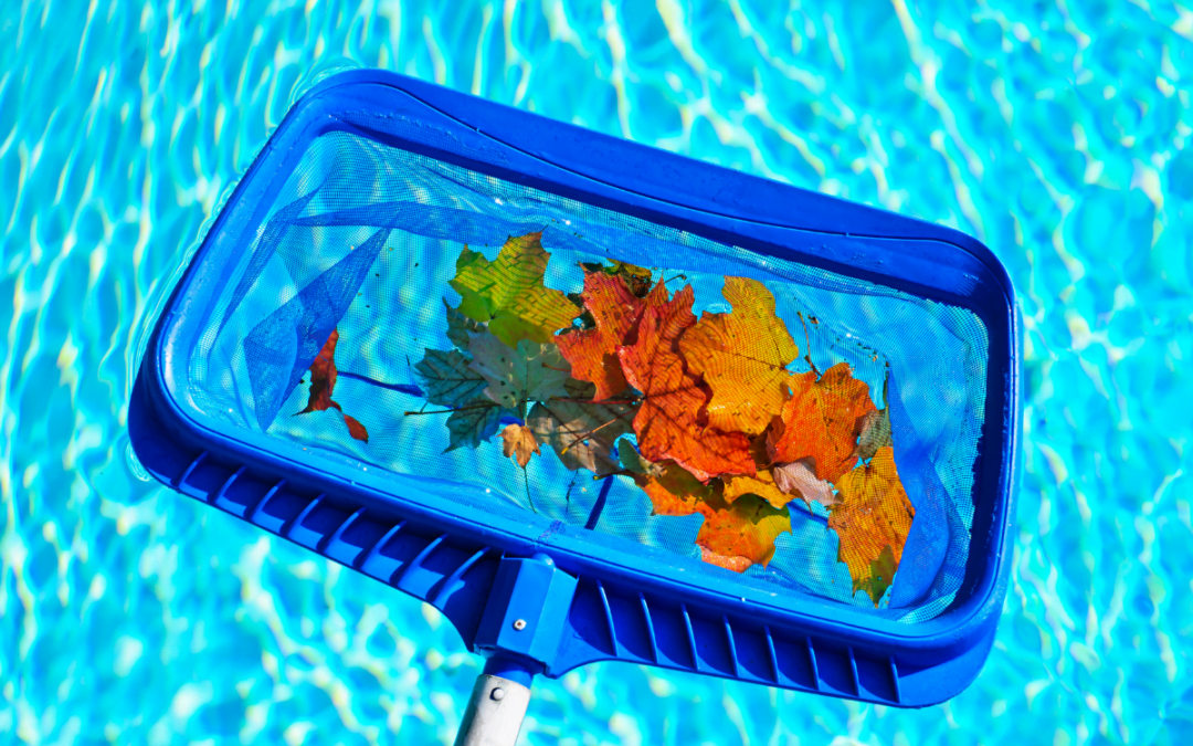 A blue net with leaves in it gently maintaining your pool water.