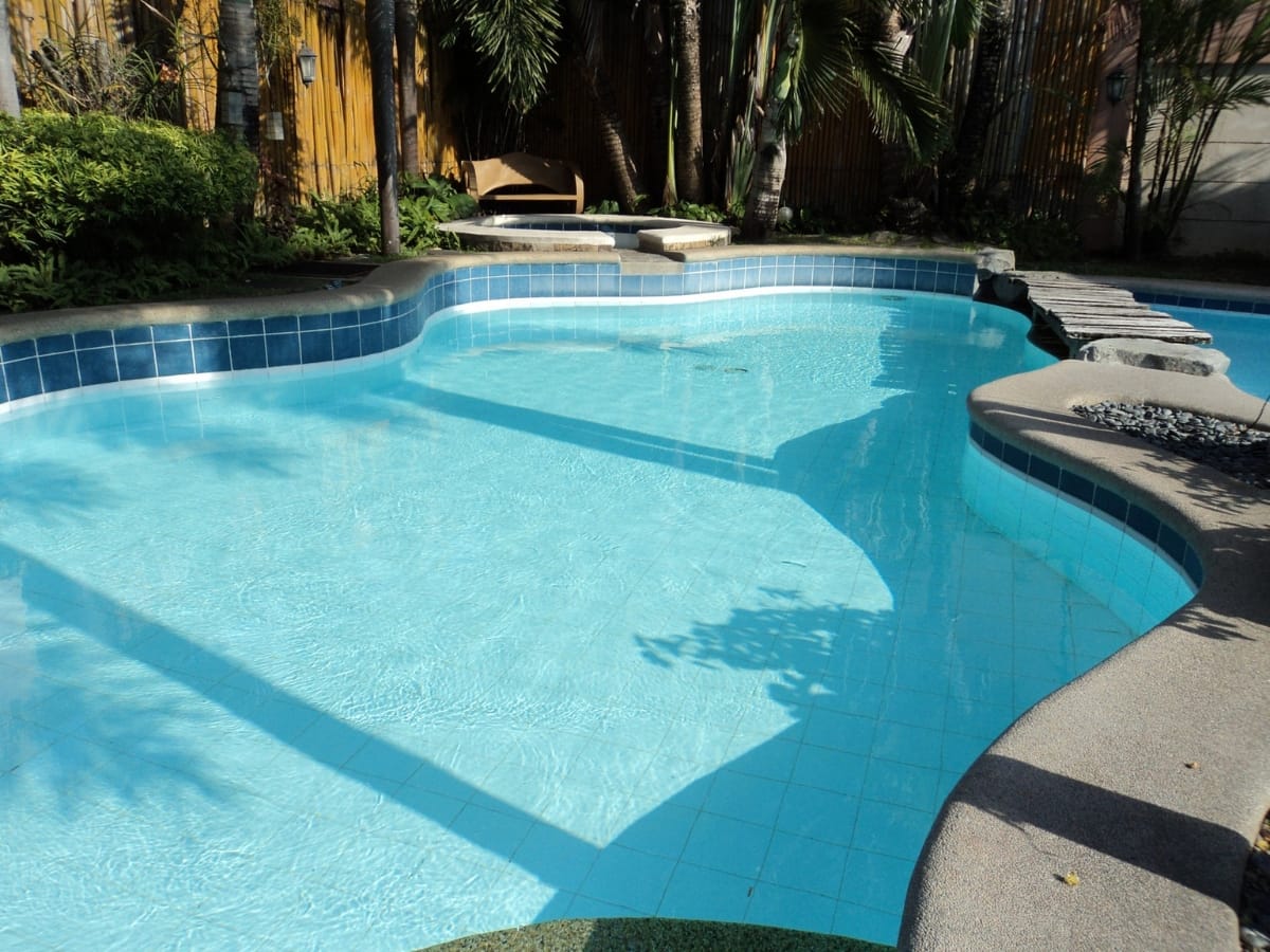 A clear blue above-ground pool with curved edges, surrounded by lush plants and palm trees, features a stone path crossing over one side.