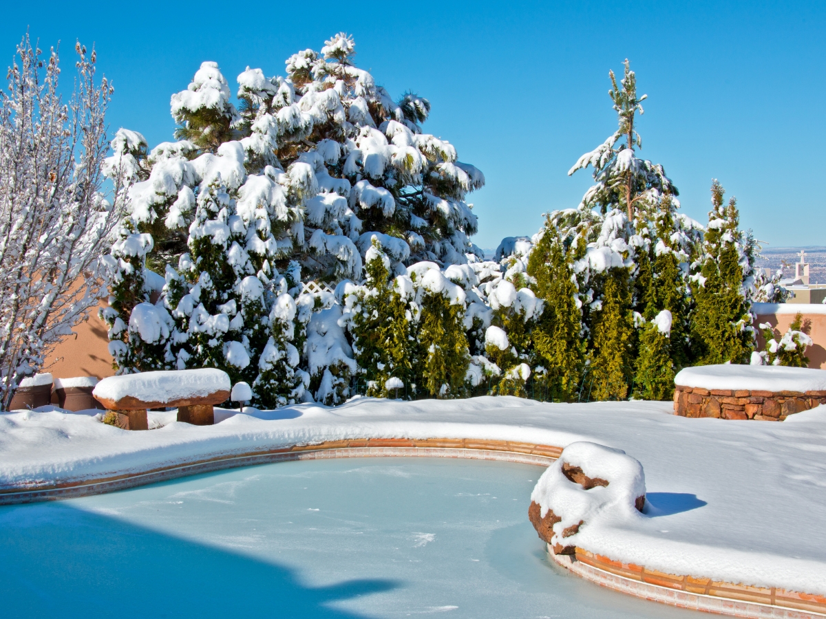 A backyard swimming pool is frozen and covered in snow, with snow-laden trees and shrubs in the background under a clear blue sky—a perfect reminder to winterize your pool before the icy weather arrives.