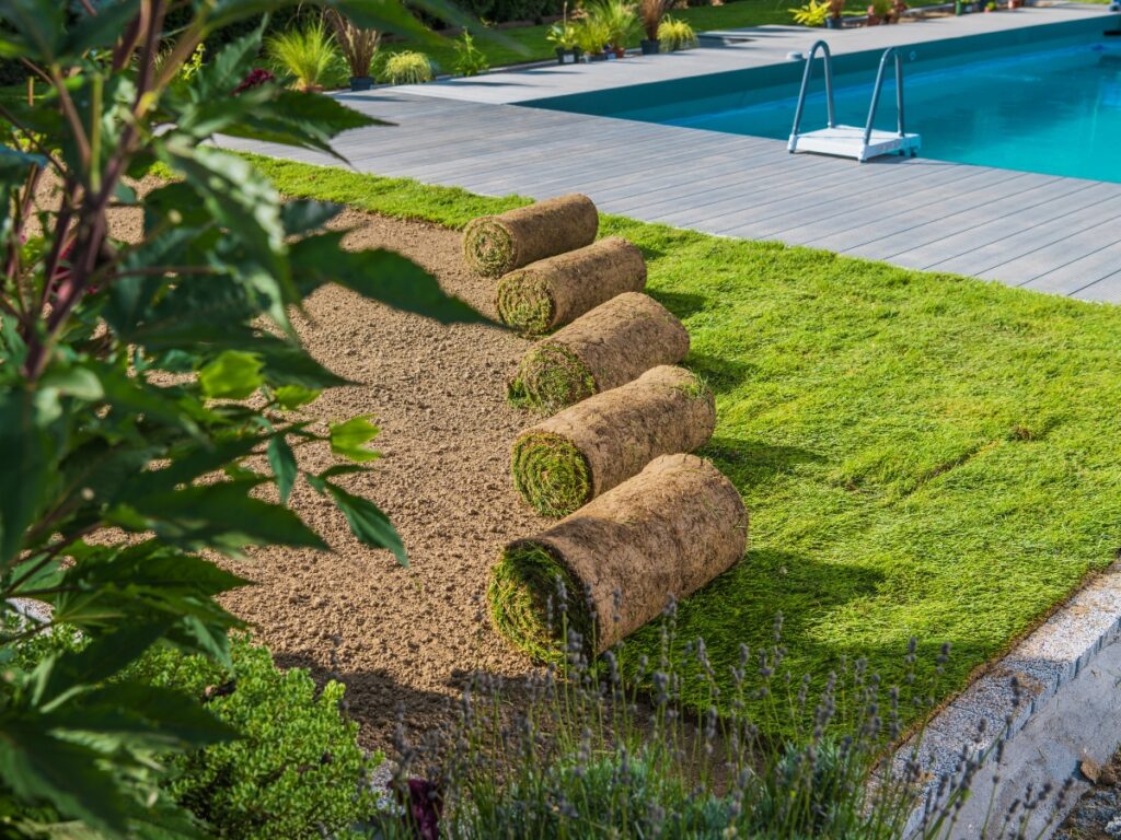 Several rolls of sod are being laid out on soil next to a swimming pool with a wooden deck, creating a lush, low maintenance landscaping solution for this beautifully landscaped backyard garden.