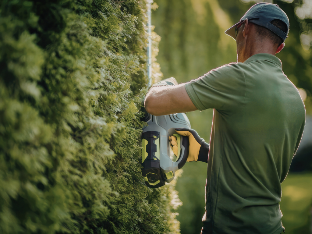 A person wearing a green shirt and cap uses an electric hedge trimmer to shape a tall green hedge, adding definition to the lush Vertical Gardens.