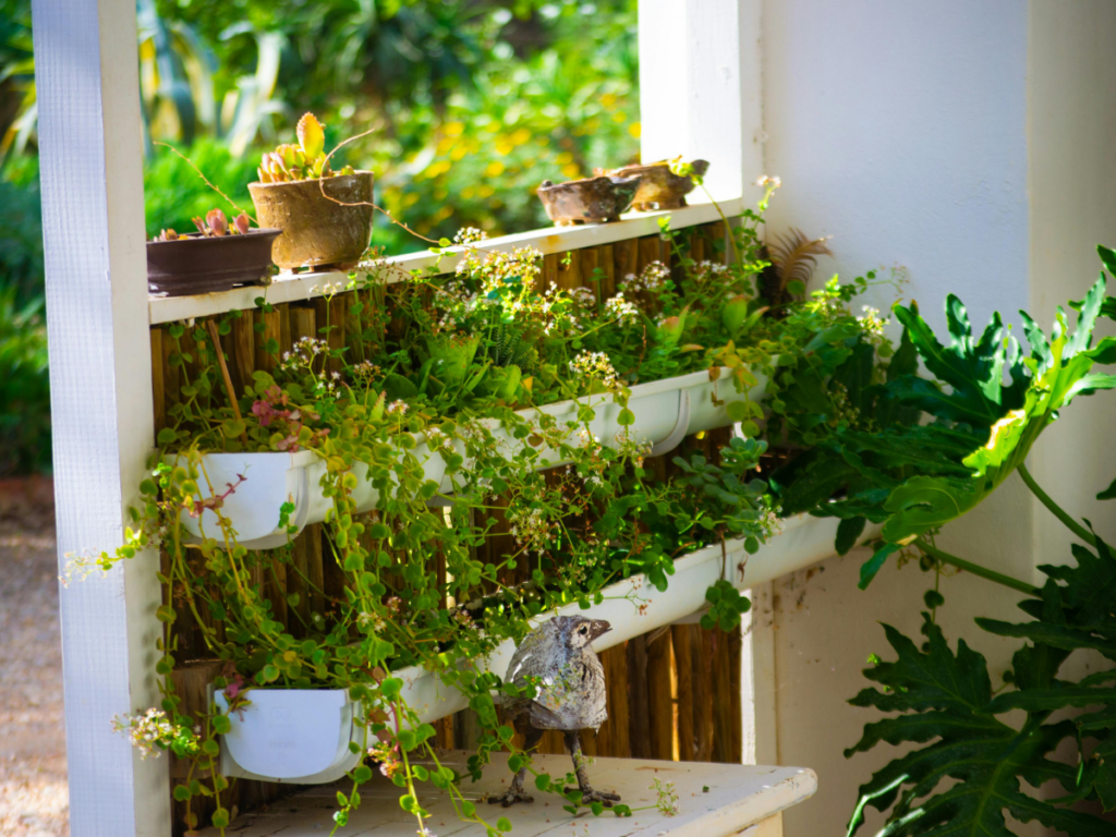 Shelves attached to an outdoor wall create a stunning vertical garden, holding various potted plants and succulents with greenery spilling over the edges in natural sunlight.